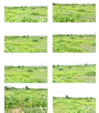 MONIKA FINE ART-240720251